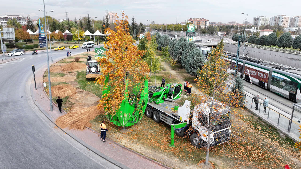 Konya’da tramvay çalışması nedeniyle kaldırılan ağaçların akıbeti belli oldu 10